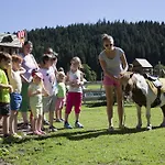 호텔 Berghof 4*