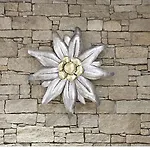 Ξενοδοχείο Berghof 4*